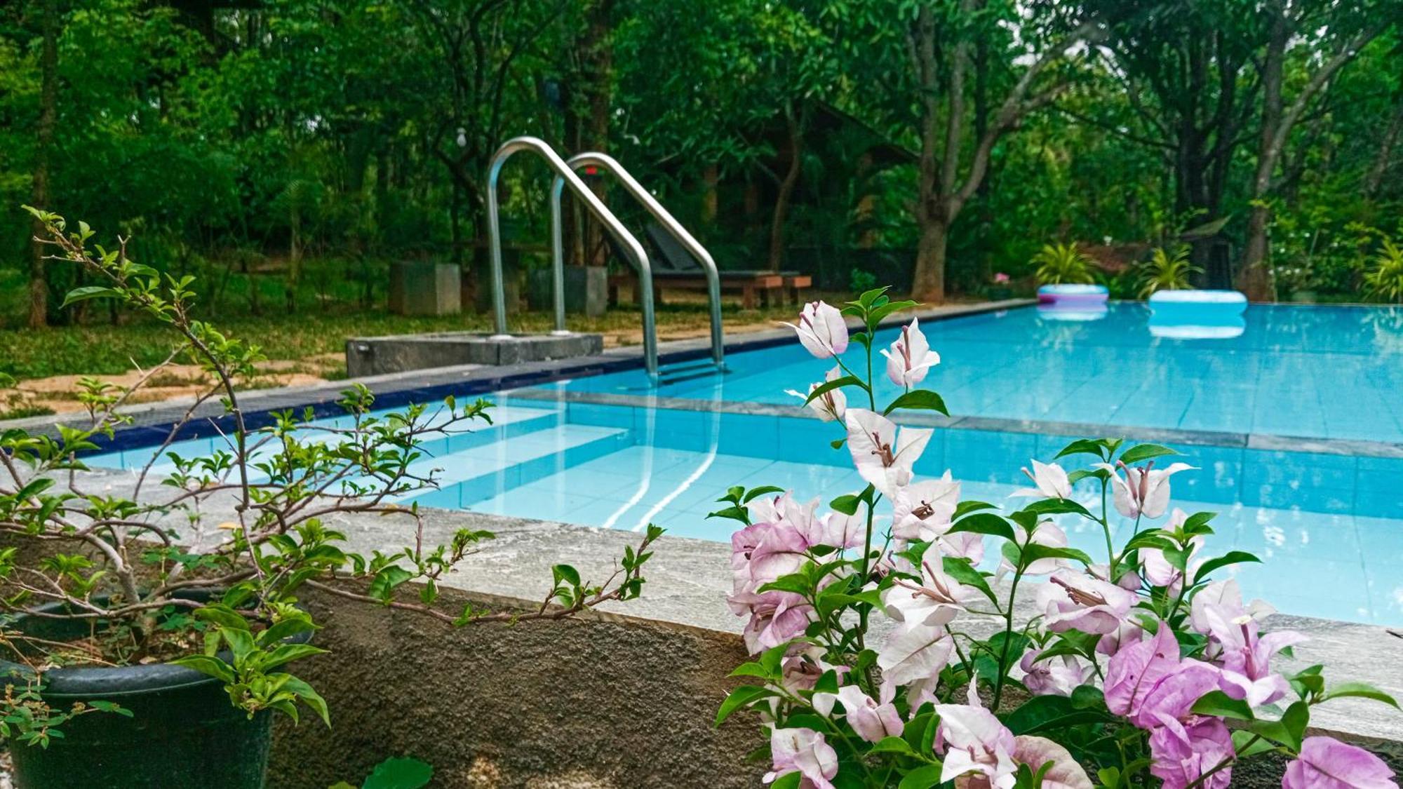 Lotus Eco Villa Sigiriya Eksteriør billede