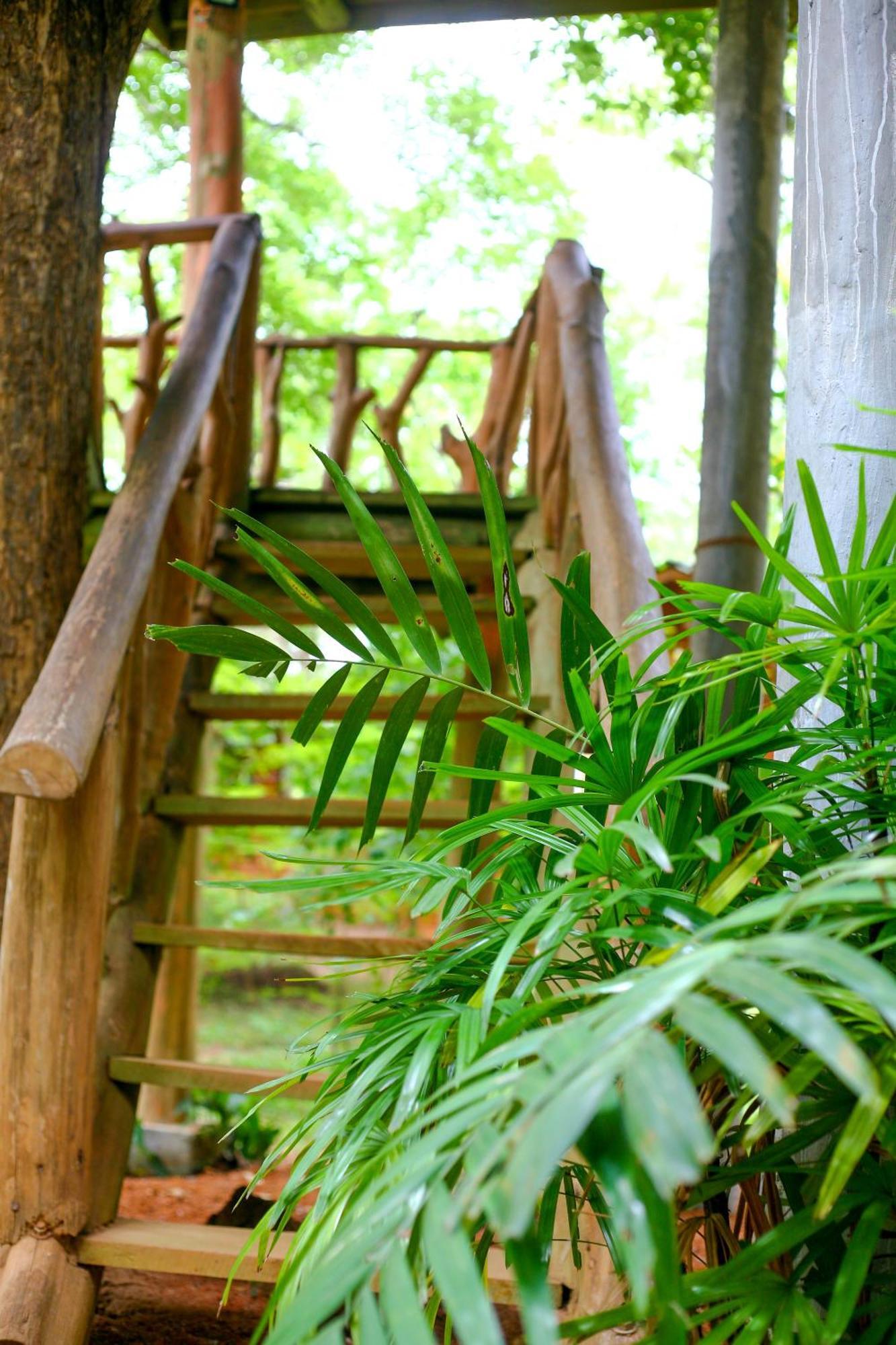 Lotus Eco Villa Sigiriya Eksteriør billede