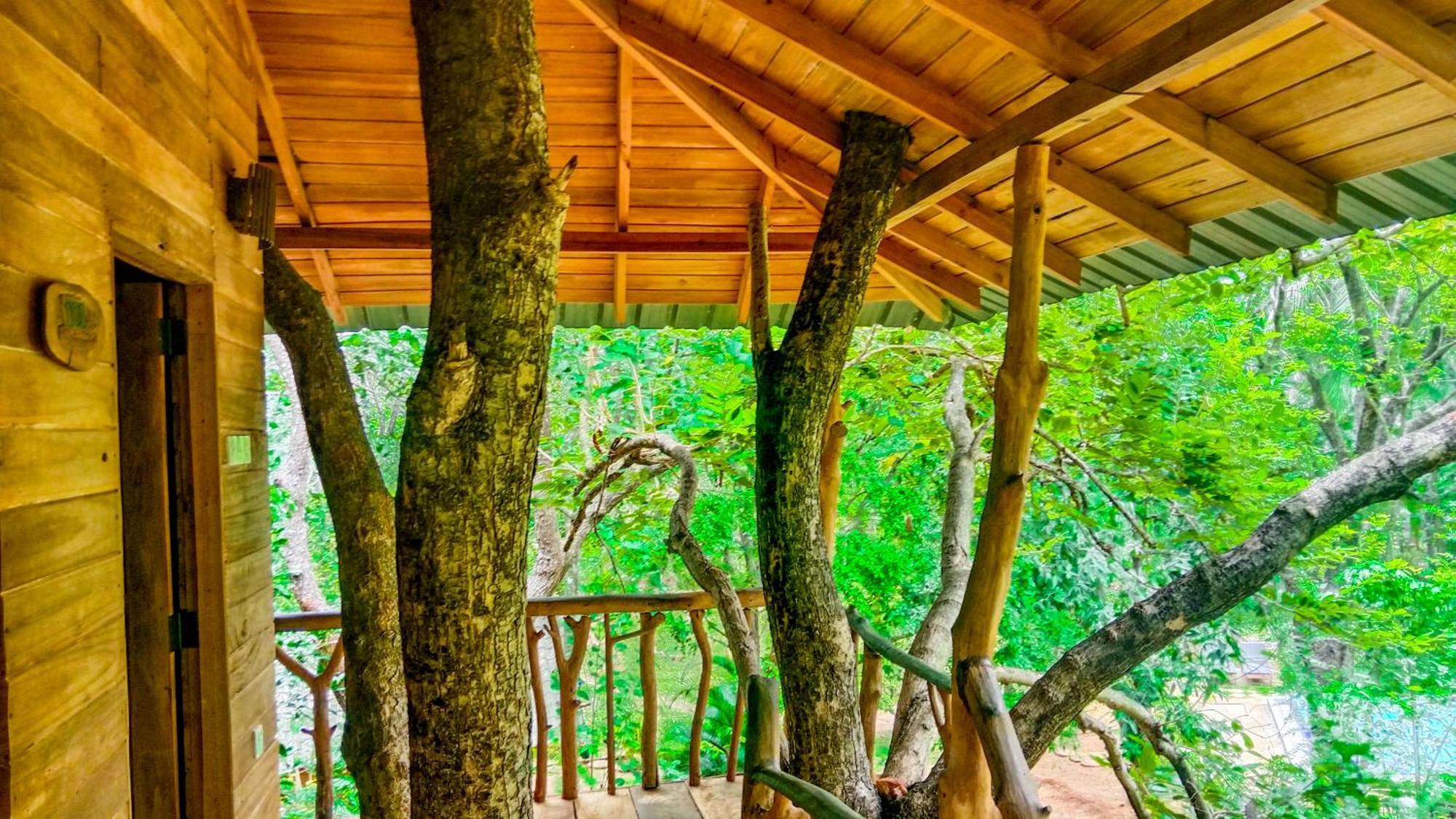 Lotus Eco Villa Sigiriya Eksteriør billede