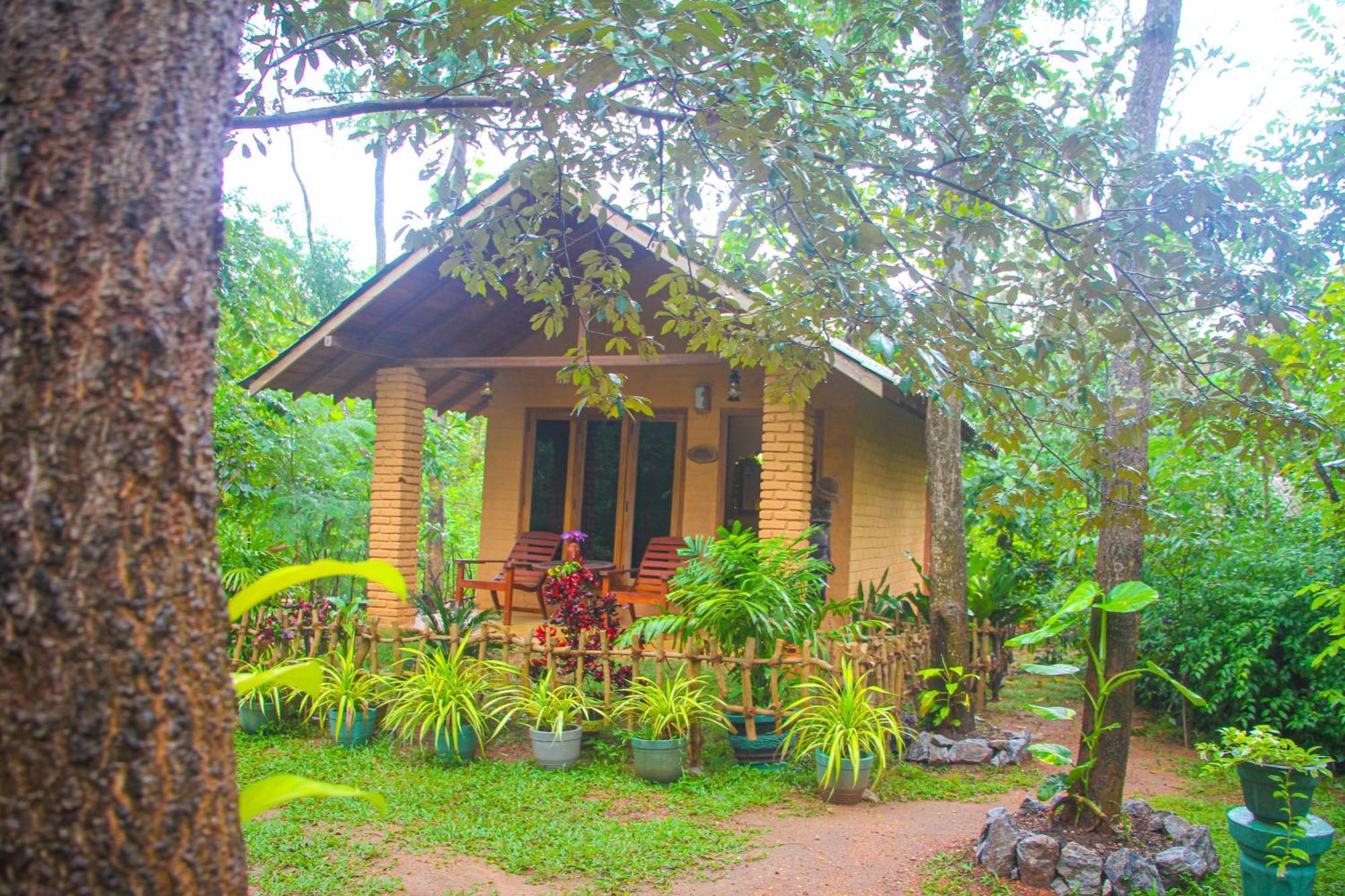 Lotus Eco Villa Sigiriya Eksteriør billede