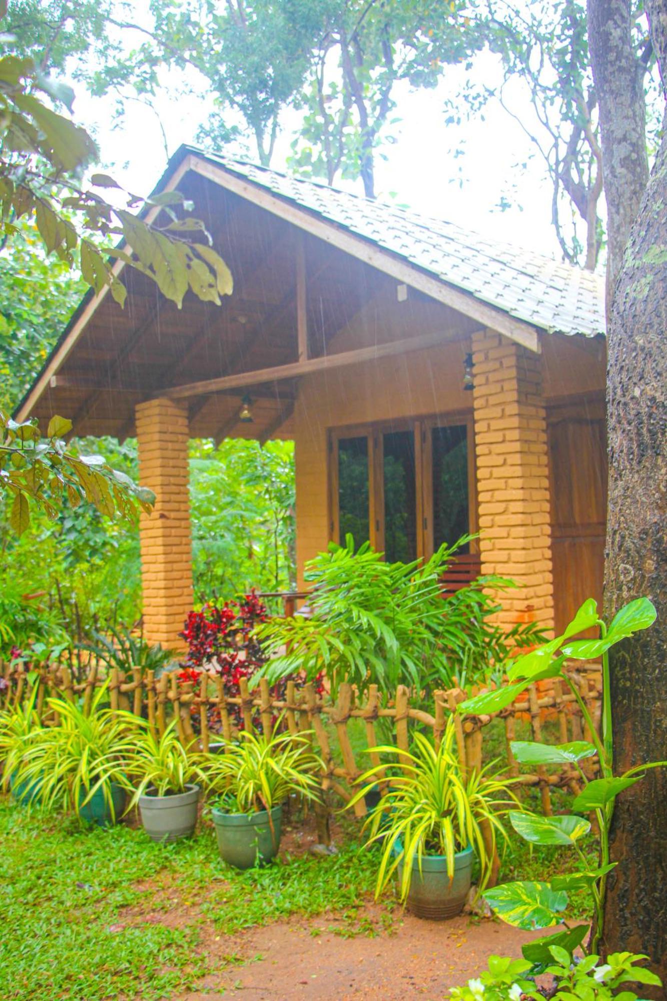 Lotus Eco Villa Sigiriya Eksteriør billede